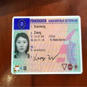 German Driving License 1