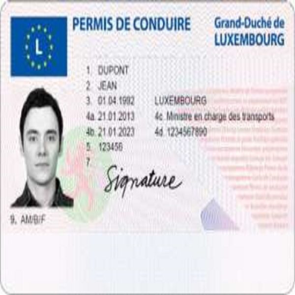 Luxembourg Driving License 1