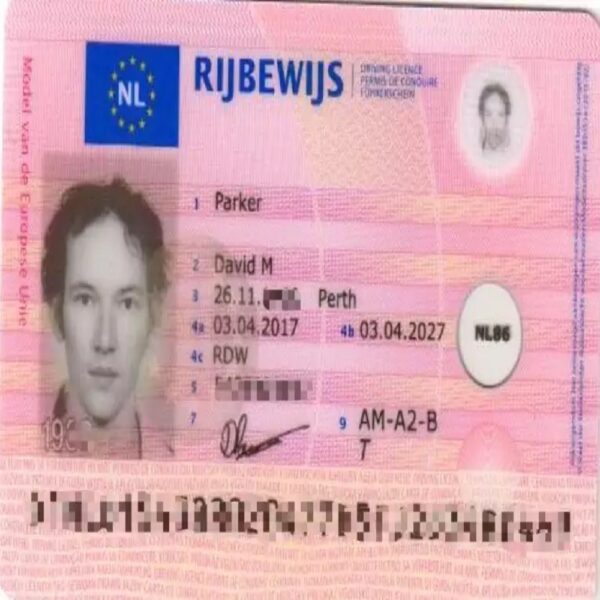 Netherland Driving License 1