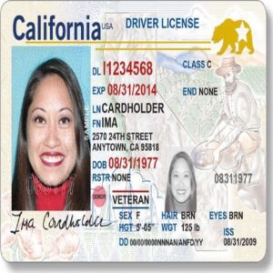 USA Driving License 1